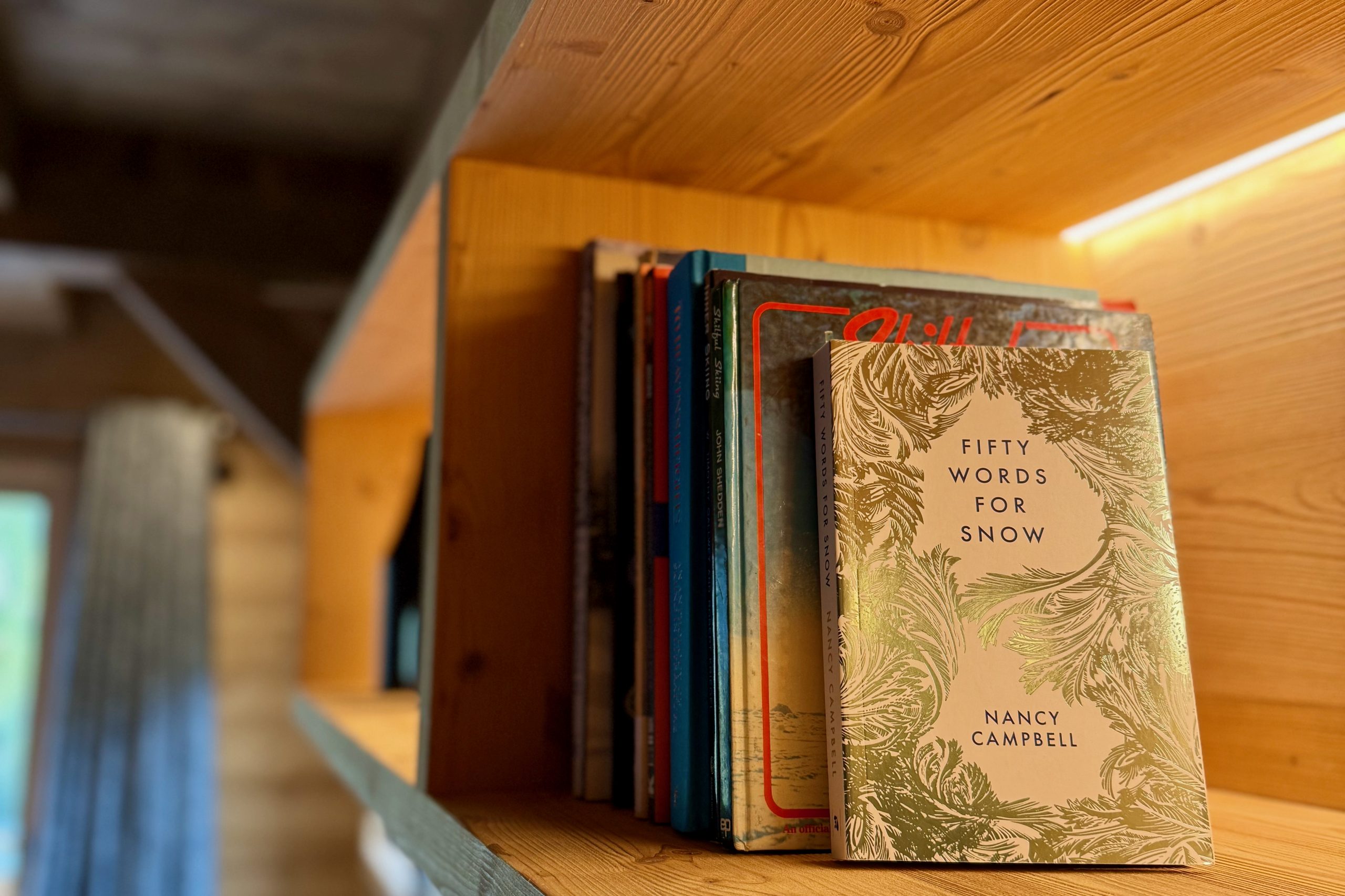 A bookshelf with books about snow